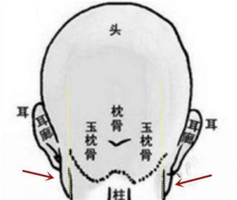 枕骨面相|《相学精义》刘恒注解，额骨、顶骨、枕骨面相篇（。